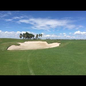 Meet your Posher, Dakota